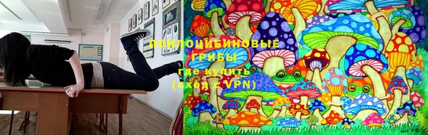 спиды Кукмор