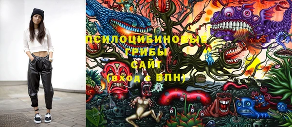 спиды Кукмор