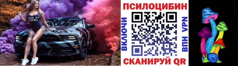 где можно купить   Ветлуга  Псилоцибиновые грибы Cubensis 