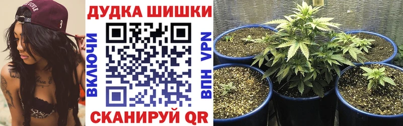 Канабис White Widow  Ветлуга 